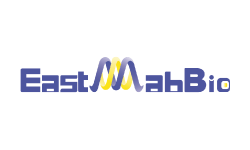 East-Mab Bio
