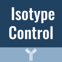 Rat IgG2b (1-2) In Vivo Isotype Control - Ultra-Low Endotoxin