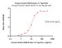 Human Activin RIIB Protein, Fc Tag (MALS verified)
