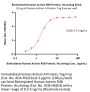 Biotinylated Human Activin RIIB Protein, His,Avitag™