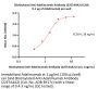 Biotinylated Anti-Adalimumab Antibody (22E7A4A2) (recommended for PK/PD)