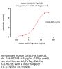 Human Axl Protein, Fc Tag (MALS verified)