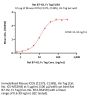 Rat B7-H2 / ICOSLG Protein, Fc Tag