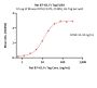 Rat B7-H2 / ICOSLG Protein, Fc Tag