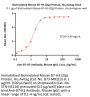 Biotinylated Mouse B7-H3 (2Ig) / CD276 Protein, His,Avitag™ (MALS verified)