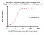 Biotinylated Mouse B7-H3 (2Ig) / CD276 Protein, His,Avitag™ (MALS verified)