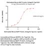 Biotinylated Mouse BAFF / TNFSF13B / CD257 Protein, Avitag™,His Tag, active trimer (MALS verified)
