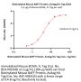 Biotinylated Mouse BAFF / TNFSF13B / CD257 Protein, Avitag™,His Tag, active trimer (MALS verified)