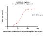 Rat CD40 / TNFRSF5 Protein, His Tag (MALS verified)