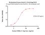 Biotinylated Human Nectin-2 / CD112 Protein, His,Avitag™ (MALS verified)