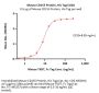 Mouse CD155 / PVR Protein, His Tag (MALS verified)