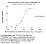 Biotinylated Mouse CD155 / PVR Protein, His,Avitag™