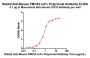 Biotinylated FMC63 scFv, Fc,Avitag™ (MALS verified)