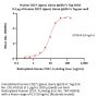 Human CD27 Ligand / CD70 Protein, Llama IgG2b Fc Tag, low endotoxin