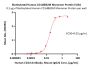 Biotinylated Human CD1d&B2M Monomer Protein (Peptide free, MALS verified)