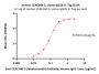 Human CEACAM-5 Protein, Llama IgG2b Fc Tag, low endotoxin (MALS verified)