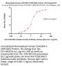 Biotinylated Human CEACAM-5 / CD66e (499-685) Protein, His,Avitag™ (MALS verified)