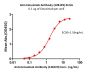 Anti-Cetuximab Antibody (12B1E9) (recommended for PK/PD, MALS verified)