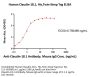 Human Claudin-18.1 Protein, His,Twin-Strep Tag (Detergent)