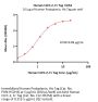 Human CLEC-2 / CLEC1B Protein, Fc Tag (MALS & SPR verified)