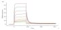 Human CLEC-2 / CLEC1B Protein, Fc Tag (MALS & SPR verified)
