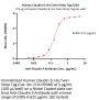 Human Claudin-9 / CLDN9 Protein, His,Twin-Strep Tag (Detergent)