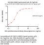 HIV (HIV1-HXB2) Capsid protein p24, His Tag (MALS verified)