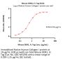 Mouse DDR1 Protein, Fc Tag