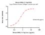 Mouse DDR1 Protein, Fc Tag