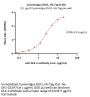 Cynomolgus DLK1 / FA1 Protein, His Tag