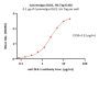 Cynomolgus DLK1 / FA1 Protein, His Tag
