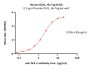 Human DLK1 / FA1 Protein, His Tag (MALS verified)