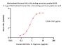 Biotinylated Human DLL1 / Delta1 Protein, His,Avitag™, premium grade