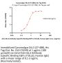 Cynomolgus DLL3 (27-488) Protein, His Tag