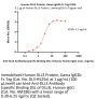 Human DLL3 Protein, Llama IgG2b Fc Tag