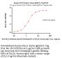 Human DLL3 Protein, Llama IgG2b Fc Tag