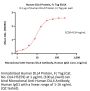 Human DLL4 Protein, Fc Tag, low endotoxin (MALS & SPR verified)