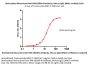 Biotinylated Monoclonal Anti-DM-1&DM-4 Antibody, Mouse IgG1