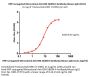 HRP conjugated Monoclonal Anti-DM-1&DM-4 Antibody,Mouse IgG1