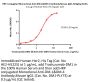 HRP conjugated Monoclonal Anti-DM-1&DM-4 Antibody,Mouse IgG1