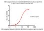 HRP conjugated Monoclonal Anti-DM-1&DM-4 Antibody,Mouse IgG1