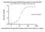 Biotinylated Human IgG1 (N297A) Kappa Isotype Control (mAb, carrier free, MALS verified)