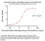 Human IgG1 (L234A, L235A) Kappa Isotype Control (mAb, carrier free, MALS verified)