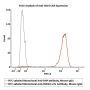 FITC-Labeled Mouse IgG1 Antibody Isotype Control