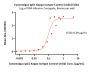 Cynomolgus IgG1 Kappa Isotype Control (mAb)