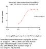Human IgG2 Kappa Isotype Control (mAb, carrier free, MALS verified)
