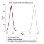 PE-Labeled Mouse IgG2a Antibody Isotype Control