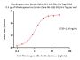Monkeypox virus (strain Zaire-96-I-16) E8L Protein, His Tag