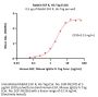 Rabbit EGF R Protein, His Tag (MALS verified)