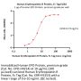 Human Erythropoietin R / EPO R Protein, Fc Tag (MALS verified)
